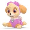 imageEnergizer PAW Patrol Squeeze Flashlights 2 Count Great LED Flashlights for Kids Batteries Included