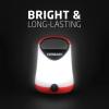 imageEveready LED Camping Lantern Bright Battery Powered Lantern Water Resistant Hurricane Supplies 100 Hour Runtime Pack of 11 Pack